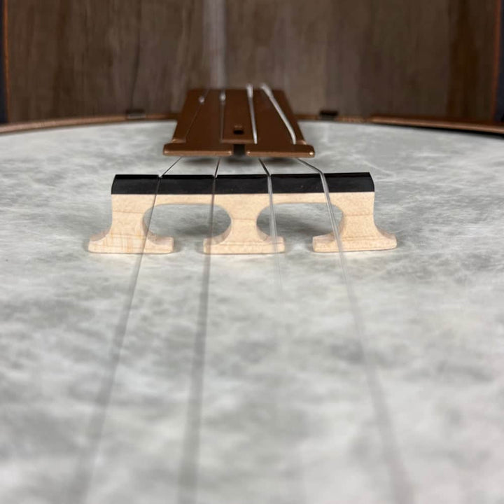 Custom Deering Artisan Goodtime 19-Fret Tenor Banjo Deering 4 String Banjos