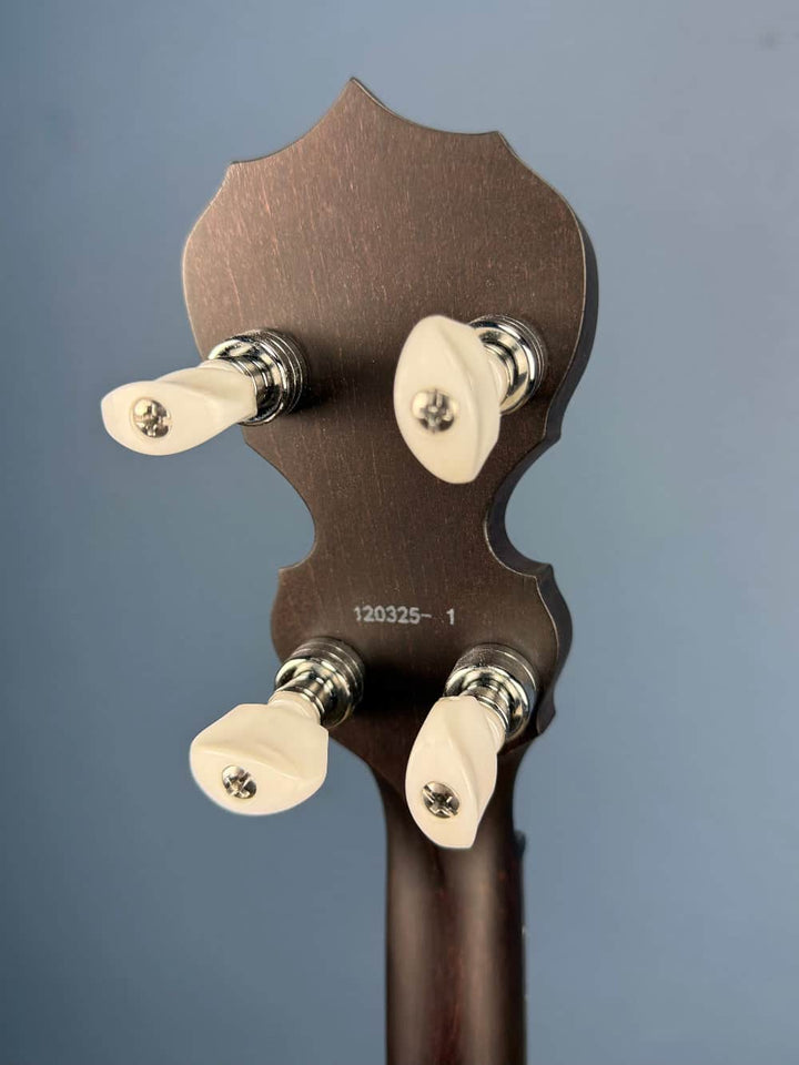 Custom Deering Artisan Goodtime 19-Fret Tenor Banjo Deering 4 String Banjos