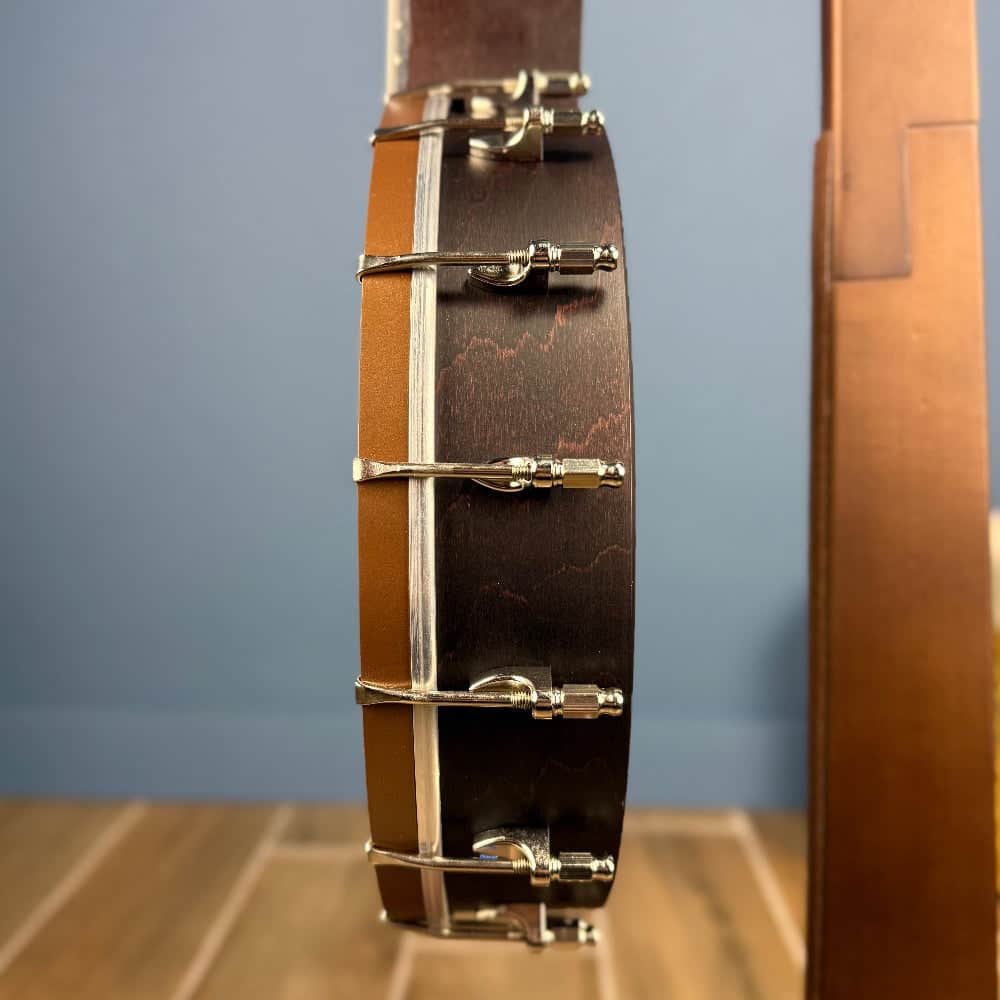 Custom Deering Artisan Goodtime 19-Fret Tenor Banjo Deering 4 String Banjos