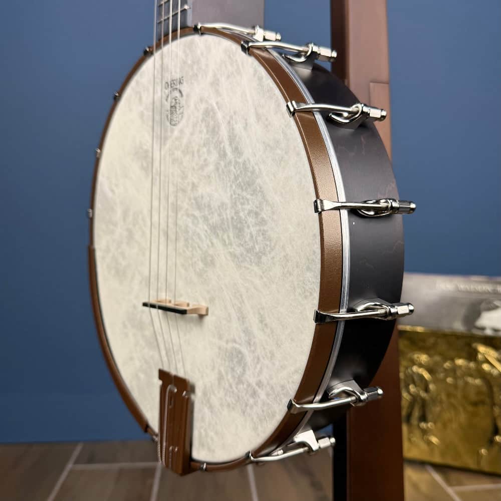 Custom Deering Artisan Goodtime 19-Fret Tenor Banjo Deering 4 String Banjos