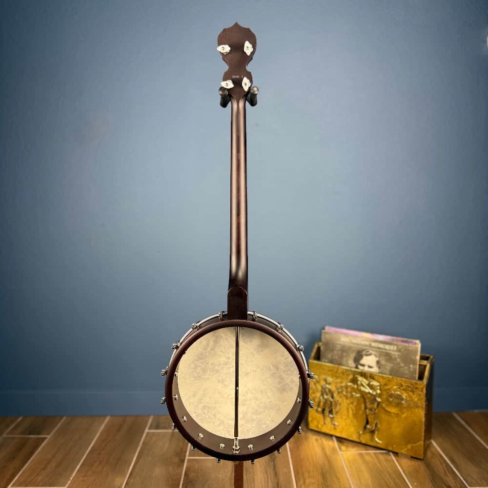 Custom Deering Artisan Goodtime 19-Fret Tenor Banjo Deering 4 String Banjos