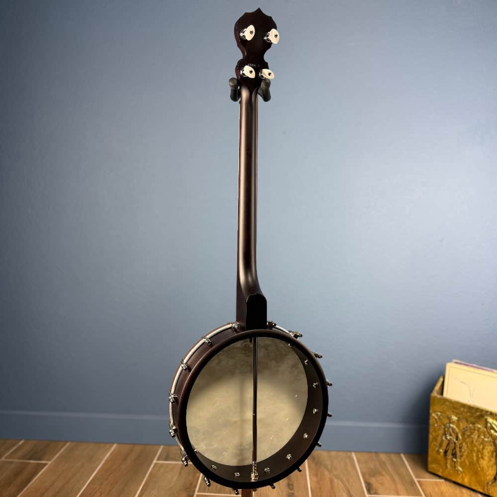 Custom Deering Artisan Goodtime 19-Fret Tenor Banjo Deering 4 String Banjos