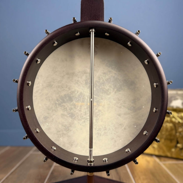 Custom Deering Artisan Goodtime Americana Banjo with Bronze Hardware and Fiberskin Head Deering 5 String Banjos back body