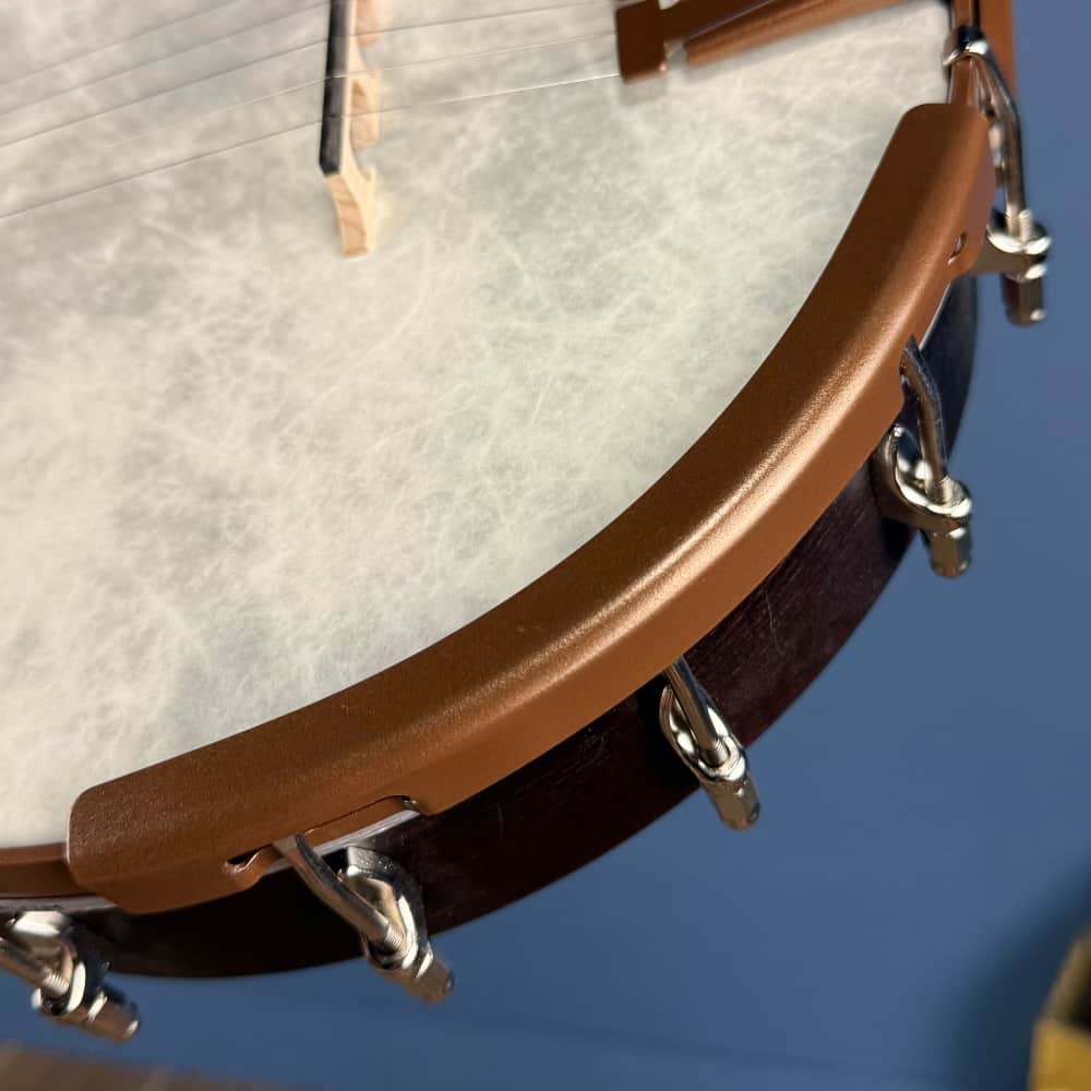 Custom Deering Artisan Goodtime Banjo with Bronze Hardware and Fiberskin Head Deering 5 String Banjos