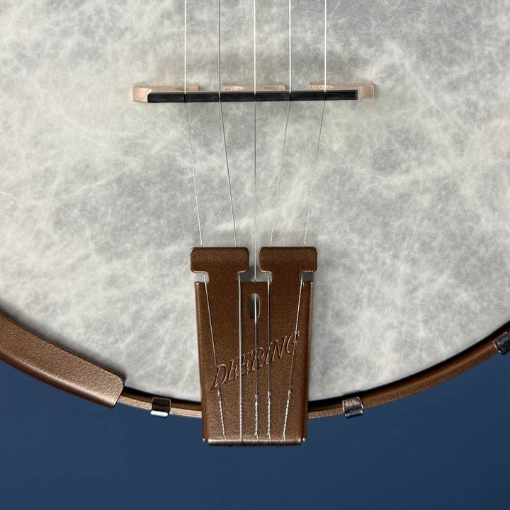 Custom Deering Artisan Goodtime Banjo with Bronze Hardware and Fiberskin Head Deering 5 String Banjos