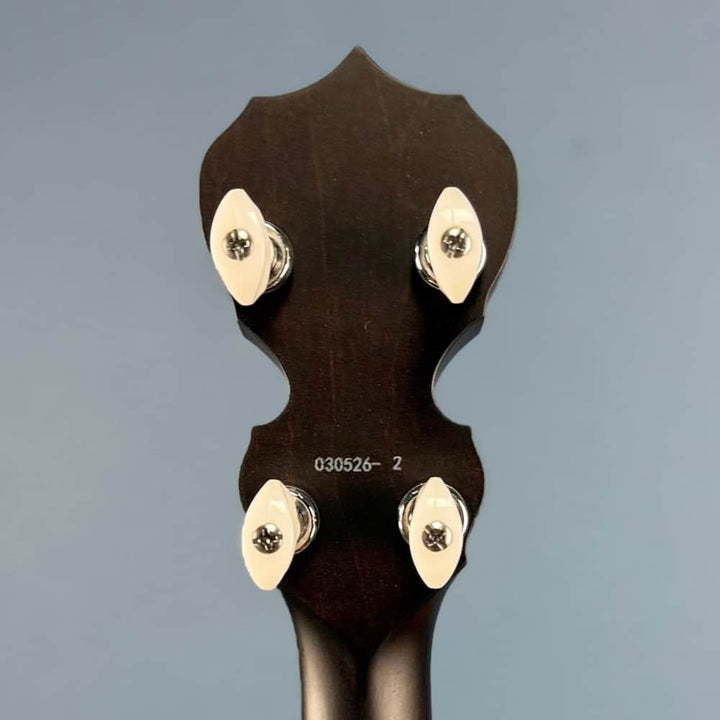 Custom Deering Artisan Goodtime Banjo with Bronze Hardware and Fiberskin Head Deering 5 String Banjos