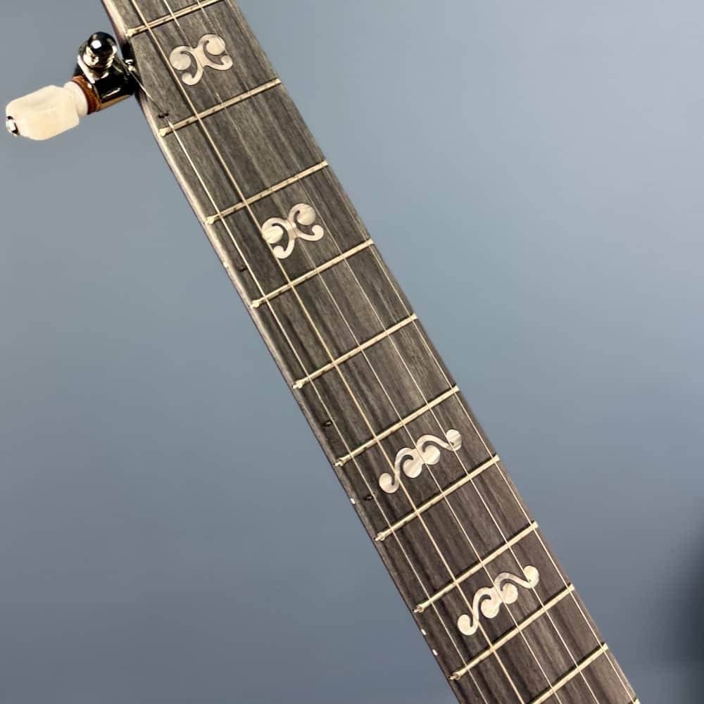 Custom Deering Artisan Goodtime Banjo with Bronze Hardware and Fiberskin Head Deering 5 String Banjos