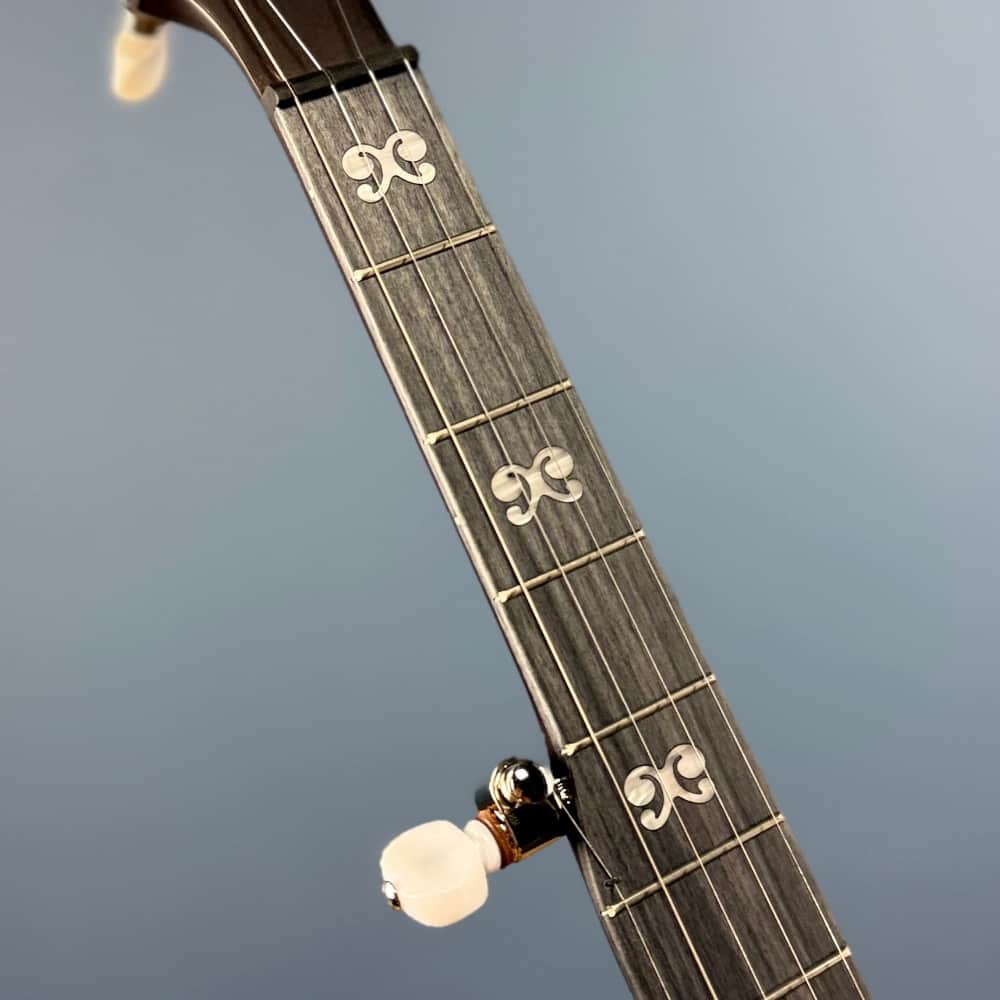 Custom Deering Artisan Goodtime Banjo with Bronze Hardware and Fiberskin Head Deering 5 String Banjos