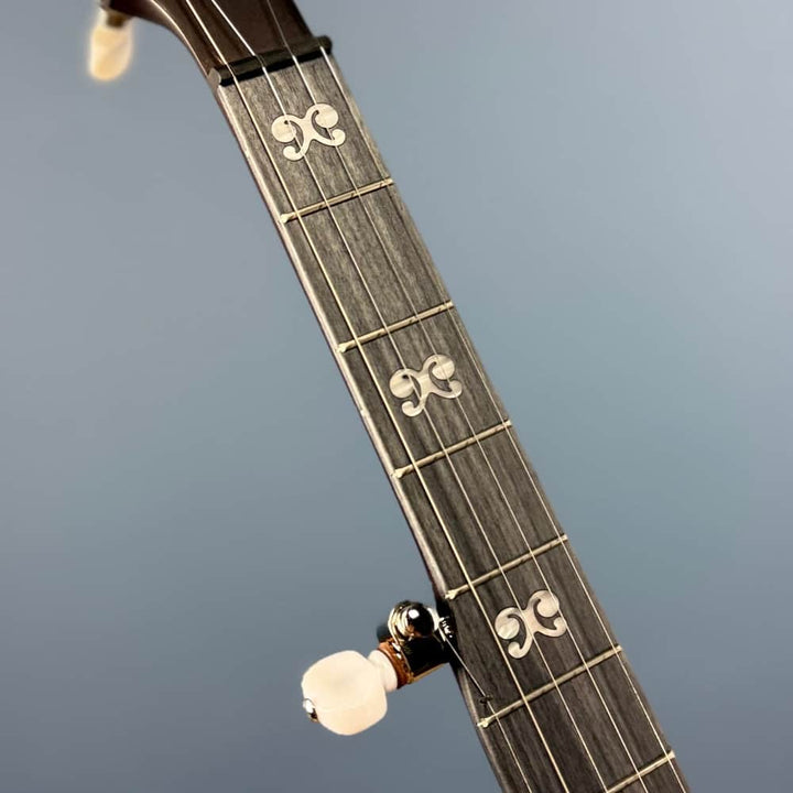 Custom Deering Artisan Goodtime Banjo with Bronze Hardware and Fiberskin Head Deering 5 String Banjos