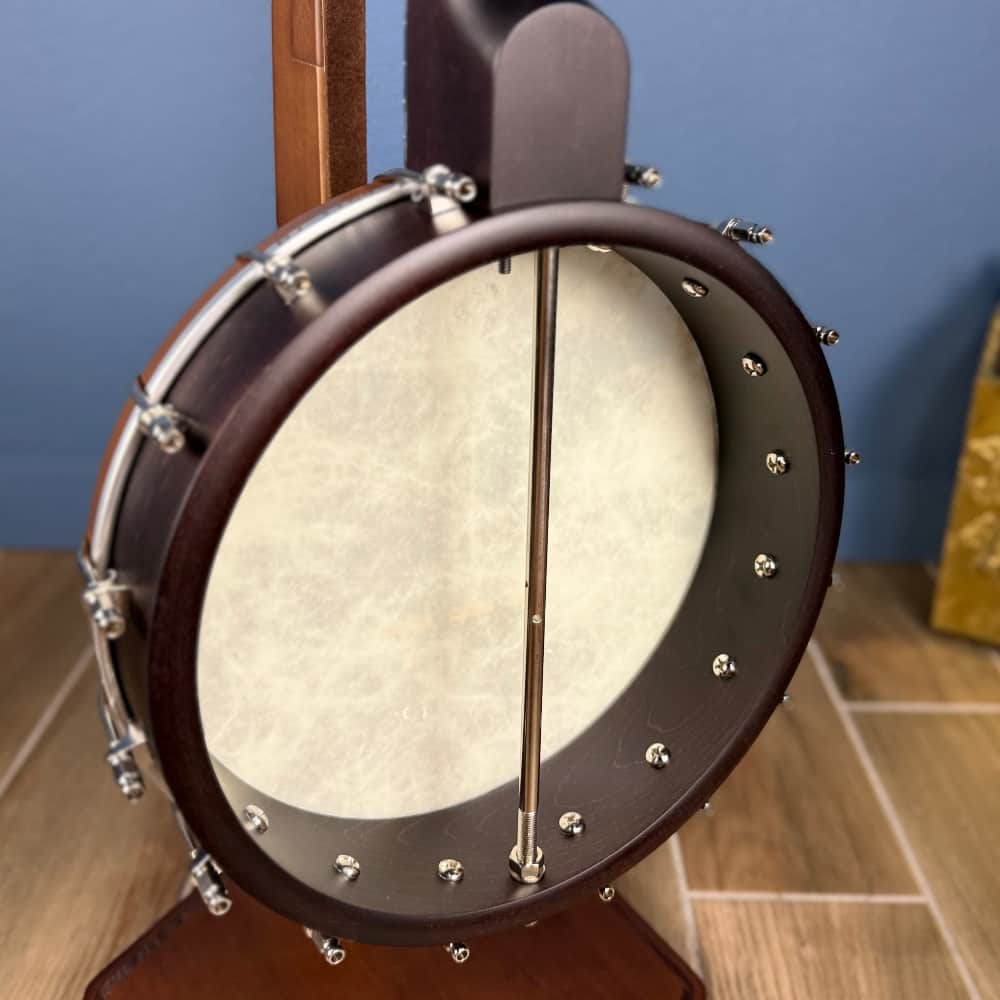 Custom Deering Artisan Goodtime Banjo with Bronze Hardware and Fiberskin Head Deering 5 String Banjos