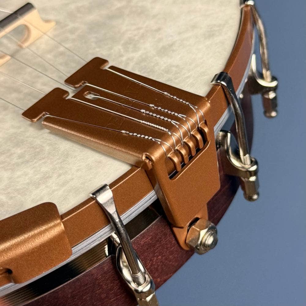 Custom Deering Artisan Goodtime Banjo with Goodtime Special Tone Ring, Bronze Hardware and Fiberskin Head Deering 5 String Openback Banjo