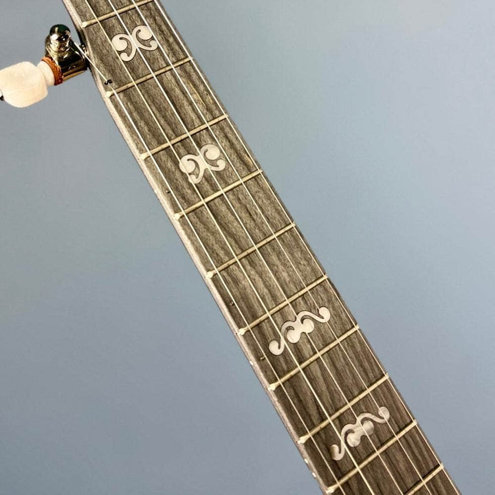 Custom Deering Artisan Goodtime Banjo with Goodtime Special Tone Ring, Bronze Hardware and Fiberskin Head Deering 5 String Openback Banjo