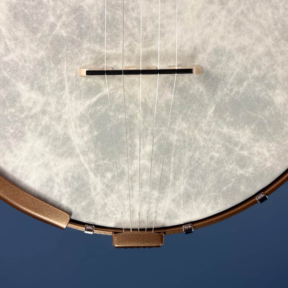 Custom Deering Artisan Goodtime Banjo with Scoop, Bronze Hardware and Fiberskin Head Deering 5 String Banjos