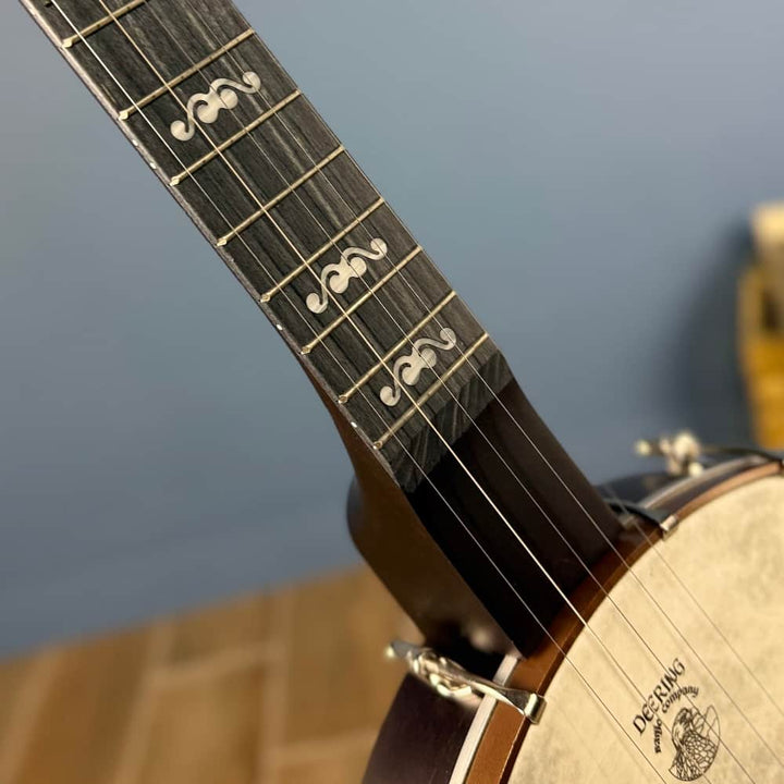 Custom Deering Artisan Goodtime Banjo with Scoop, Bronze Hardware and Fiberskin Head Deering 5 String Banjos