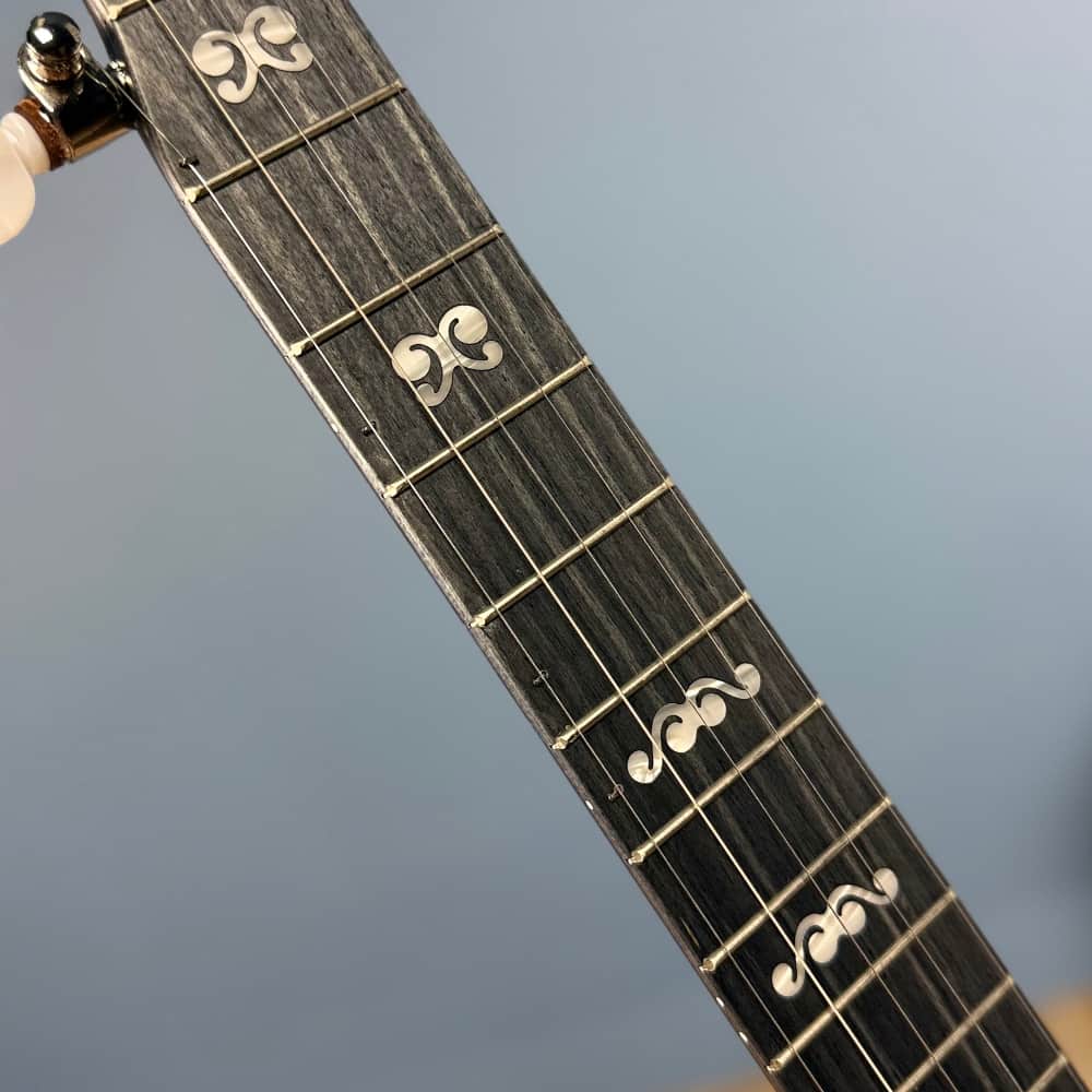 Custom Deering Artisan Goodtime Banjo with Scoop, Bronze Hardware and Fiberskin Head Deering 5 String Banjos