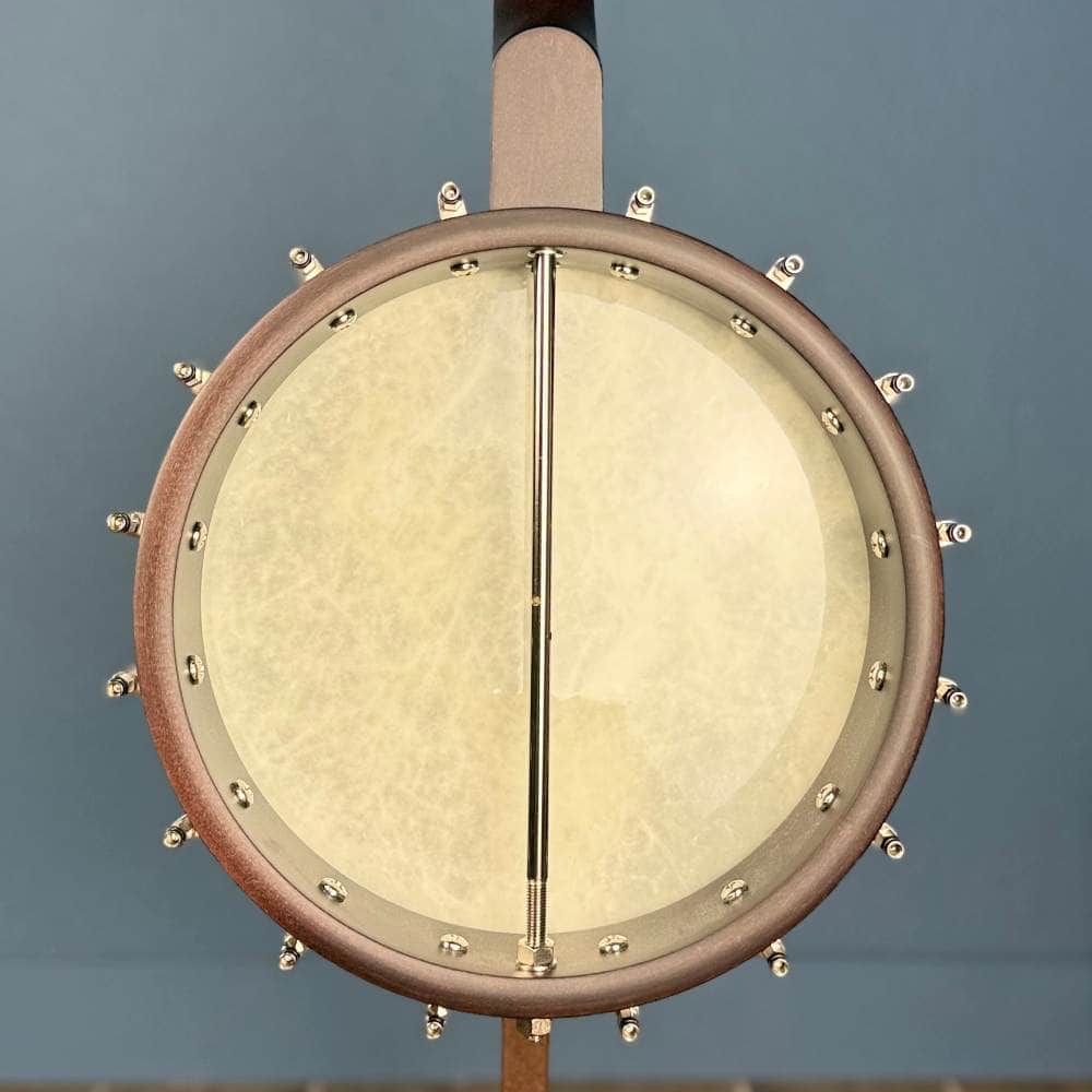 Custom Deering Artisan Goodtime Special 19-Fret Tenor Openback Banjo Deering 4 String Banjos