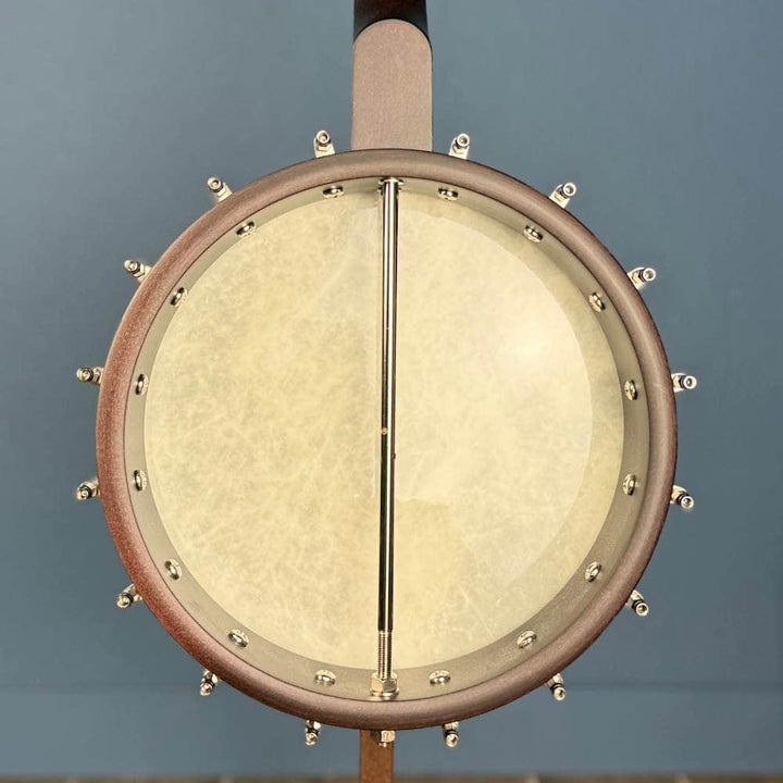 Custom Deering Artisan Goodtime Special 19-Fret Tenor Openback Banjo Deering 4 String Banjos