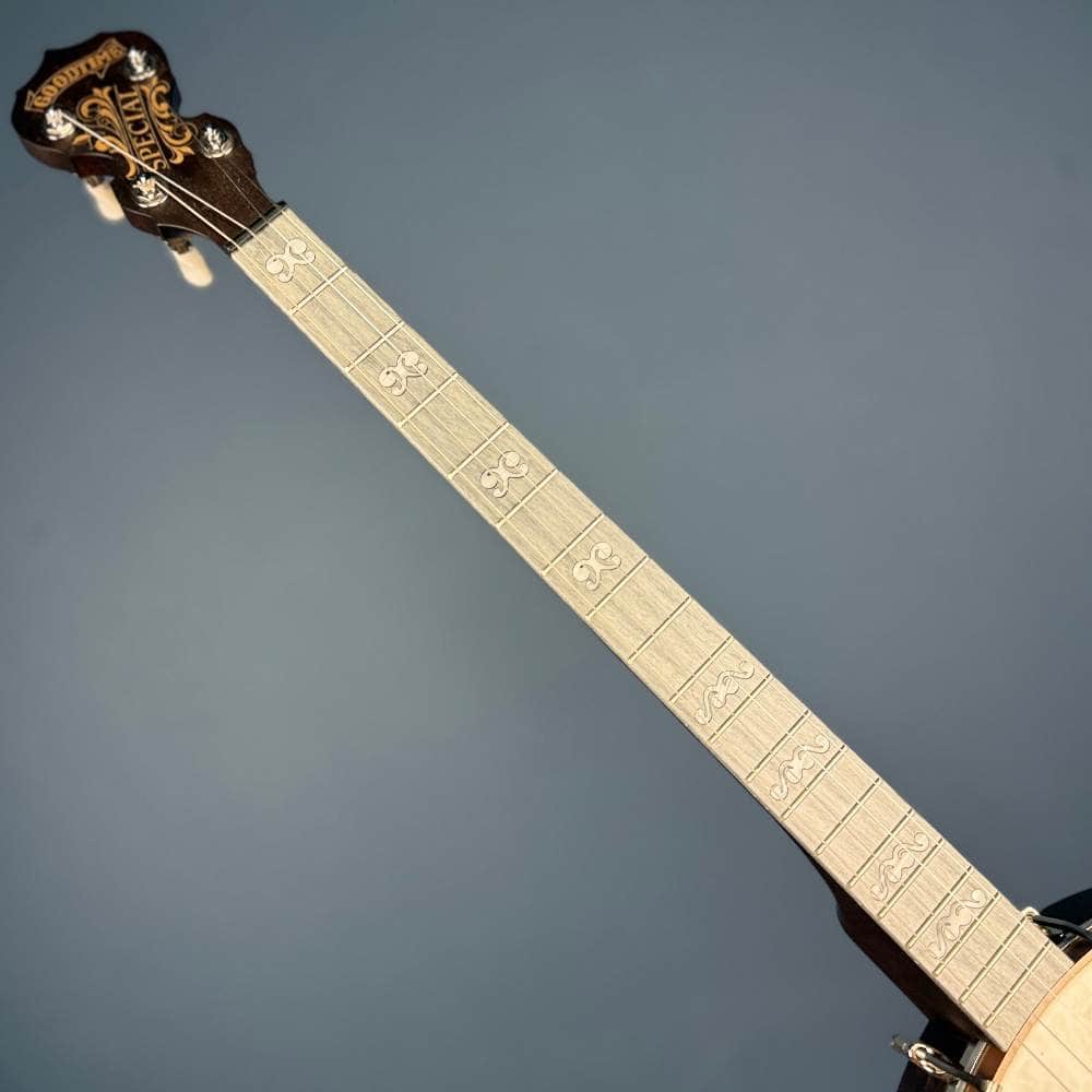 Custom Deering Artisan Goodtime Special 19-Fret Tenor Openback Banjo Deering 4 String Banjos