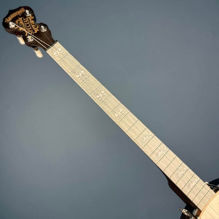 Custom Deering Artisan Goodtime Special 19-Fret Tenor Openback Banjo Deering 4 String Banjos