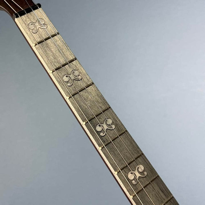 Custom Deering Artisan Goodtime Special 19-Fret Tenor Openback Banjo Deering 4 String Banjos