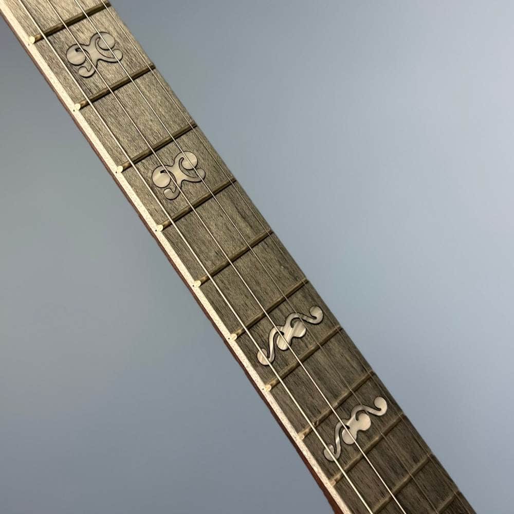 Custom Deering Artisan Goodtime Special 19-Fret Tenor Openback Banjo Deering 4 String Banjos