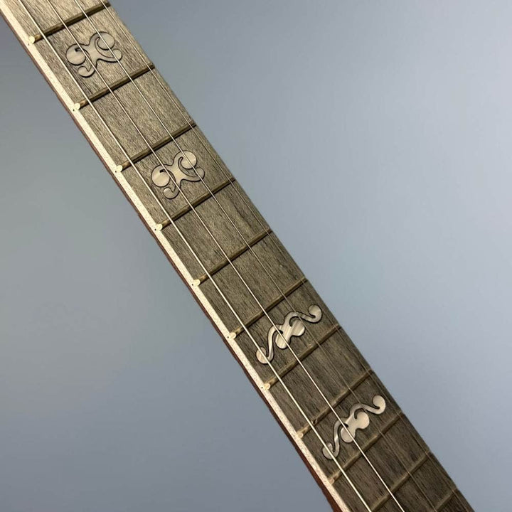 Custom Deering Artisan Goodtime Special 19-Fret Tenor Openback Banjo Deering 4 String Banjos