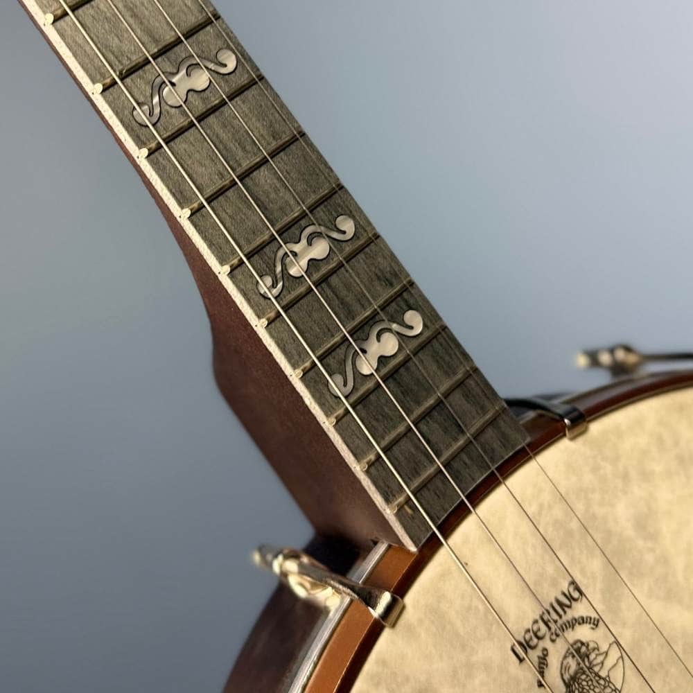 Custom Deering Artisan Goodtime Special 19-Fret Tenor Openback Banjo Deering 4 String Banjos