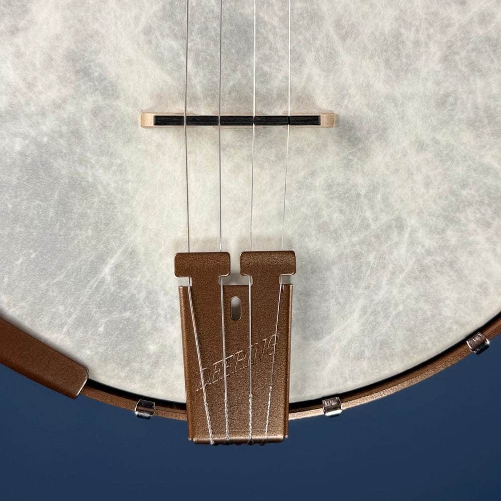 Custom Deering Artisan Goodtime Special 19-Fret Tenor Openback Banjo Deering 4 String Banjos