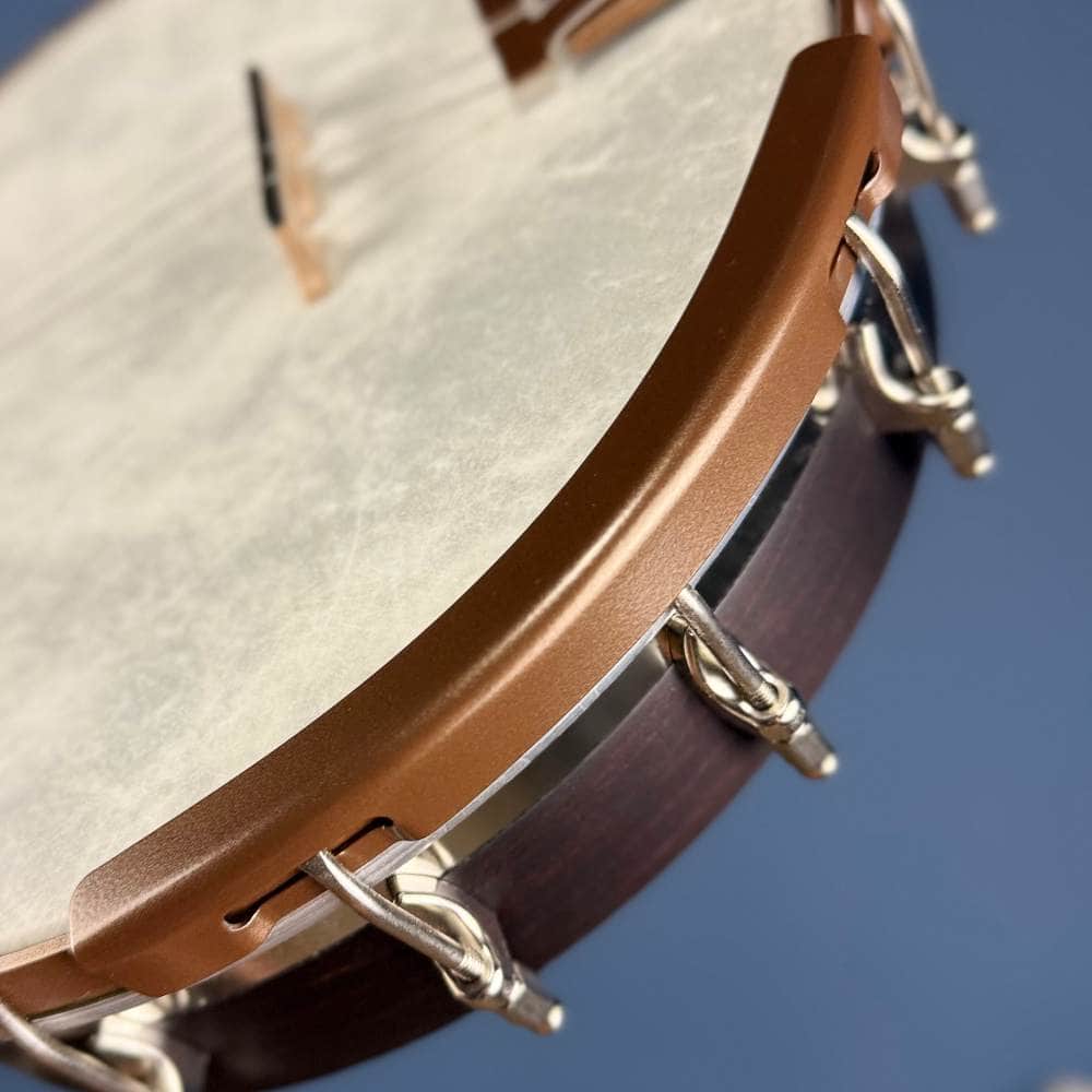 Custom Deering Artisan Goodtime Special 19-Fret Tenor Openback Banjo Deering 4 String Banjos