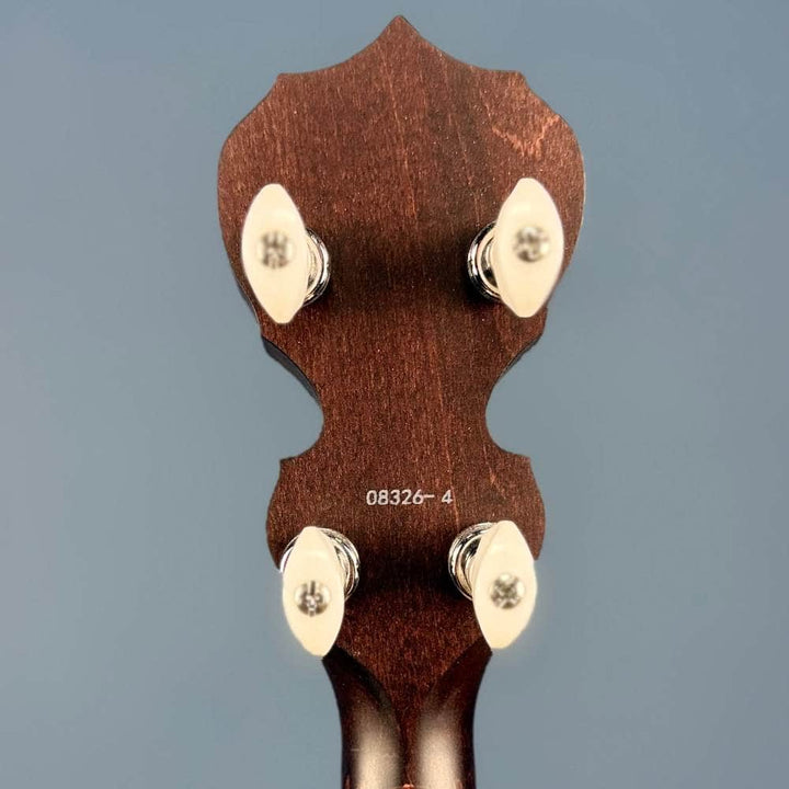Custom Deering Artisan Goodtime Special 19-Fret Tenor Openback Banjo Deering 4 String Banjos