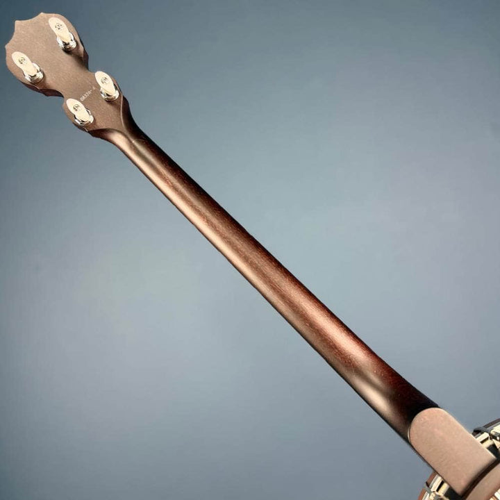 Custom Deering Artisan Goodtime Special 19-Fret Tenor Openback Banjo Deering 4 String Banjos