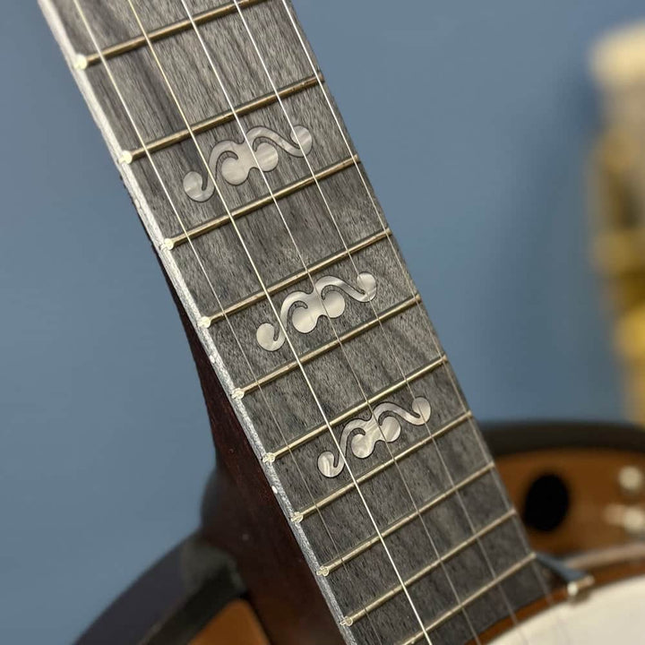 Custom Deering Artisan Goodtime Special 5-String Banjo Deering 5 String Banjos