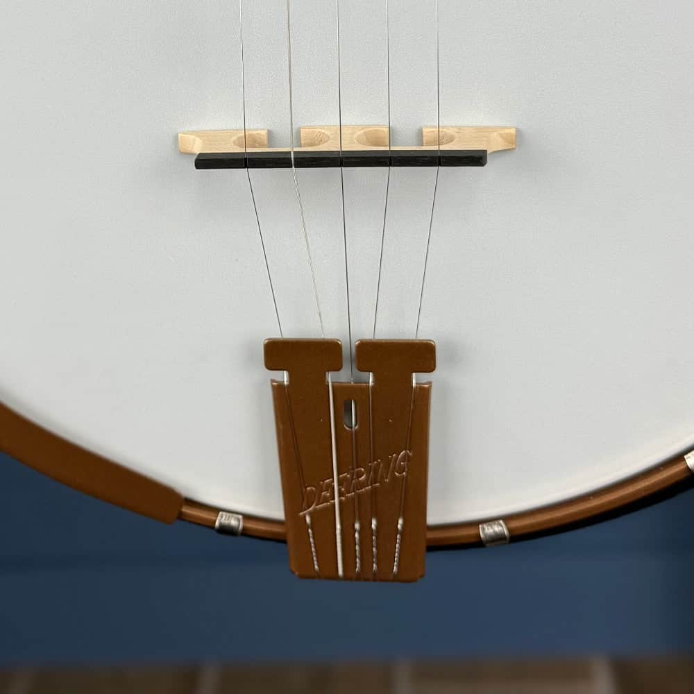 Custom Deering Artisan Goodtime Special 5-String Banjo Deering 5 String Banjos