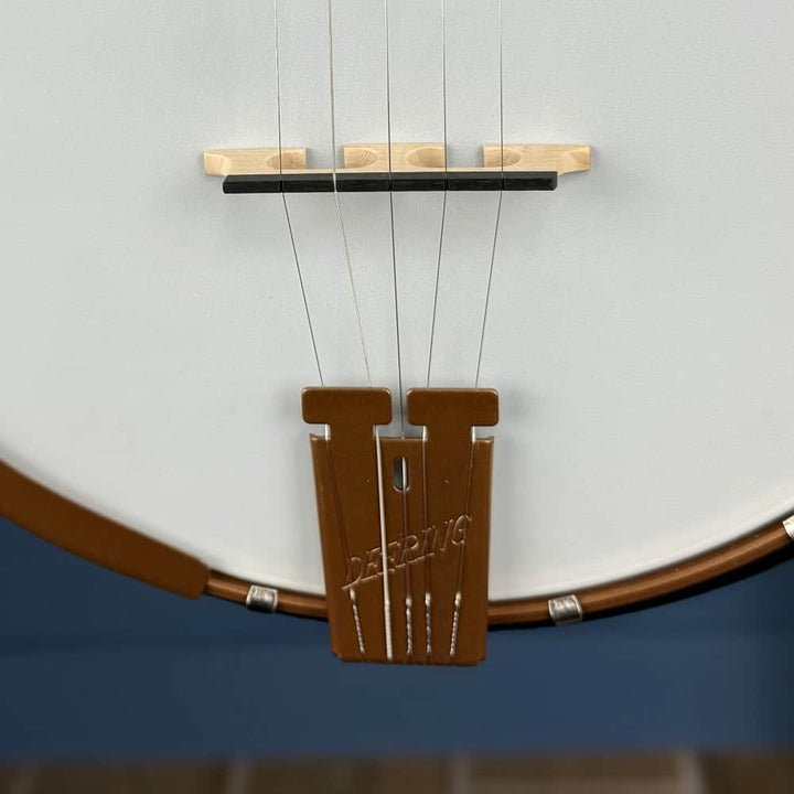 Custom Deering Artisan Goodtime Special 5-String Banjo Deering 5 String Banjos