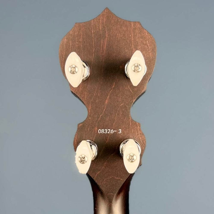 Custom Deering Artisan Goodtime Two 17-Fret Tenor Banjo with Resonator Fiberskin Head and Bronze Hardware Deering 4 String Banjos