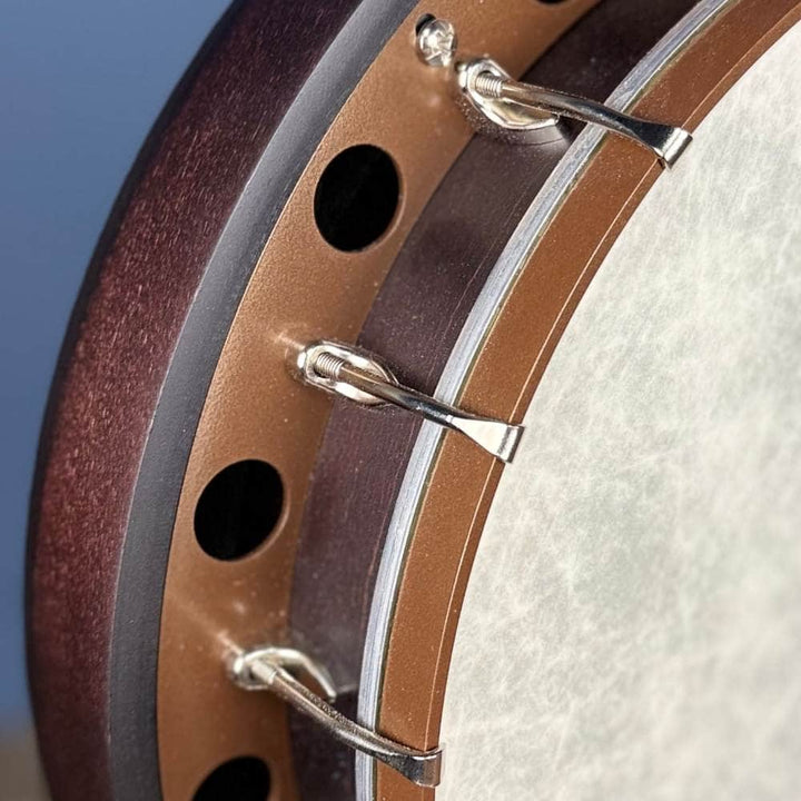 Custom Deering Artisan Goodtime Two 17-Fret Tenor Banjo with Resonator Fiberskin Head and Bronze Hardware Deering 4 String Banjos