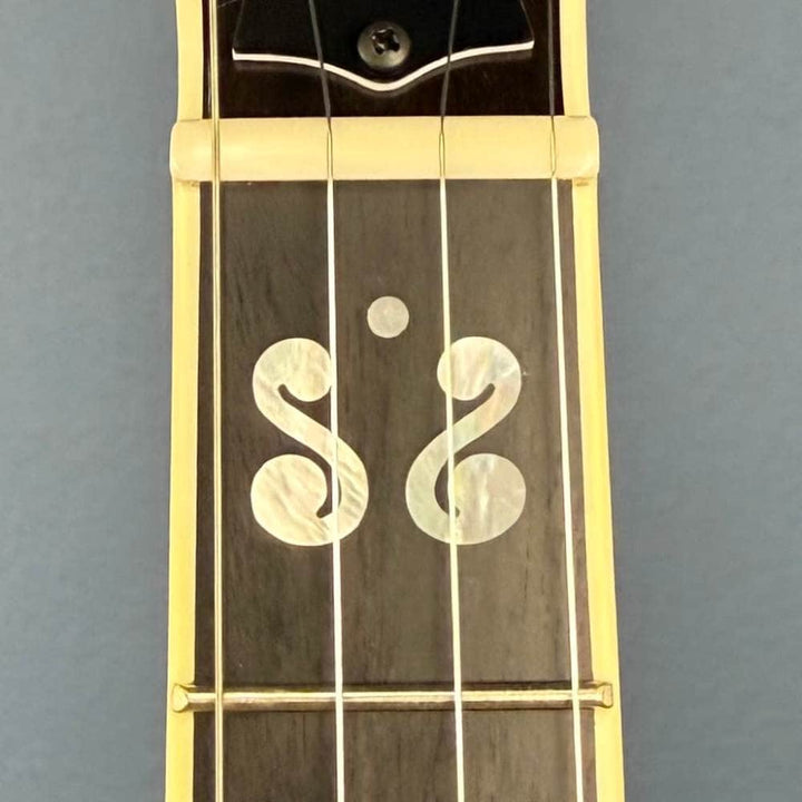 Custom Deering Calico Radius Fretboard 5-String Banjo Deering 5 String Banjos