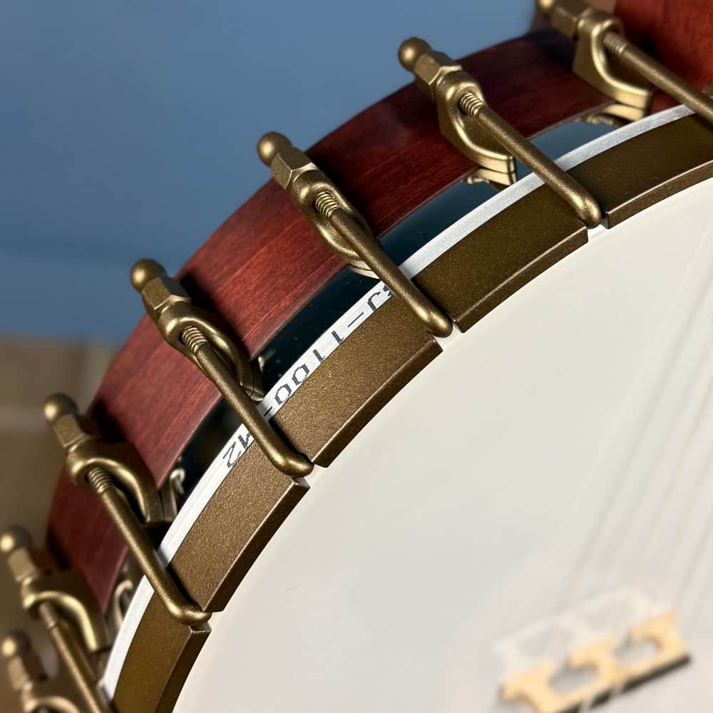 Custom Deering Eagle II 19-Fret Short-Scale Tenor Openback Banjo Deering 4 String Banjos