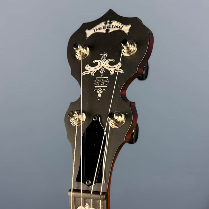 Custom Deering Eagle II 19-Fret Short-Scale Tenor Openback Banjo Deering 4 String Banjos