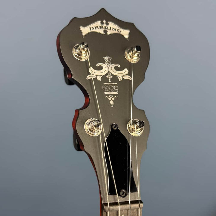 Custom Deering Eagle II 19-Fret Short-Scale Tenor Openback Banjo Deering 4 String Banjos