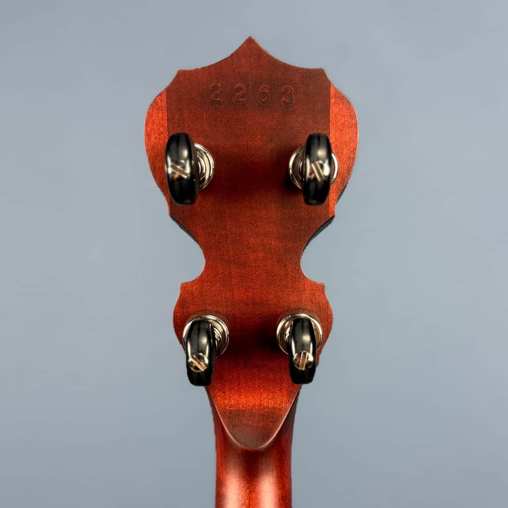 Custom Deering Eagle II 19-Fret Short-Scale Tenor Openback Banjo Deering 4 String Banjos