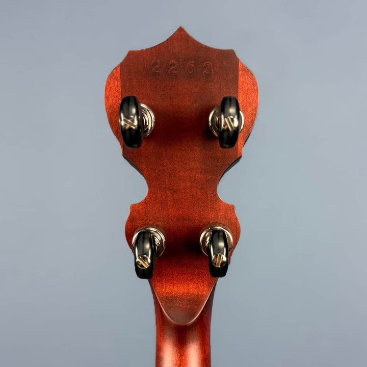 Custom Deering Eagle II 19-Fret Short-Scale Tenor Openback Banjo Deering 4 String Banjos