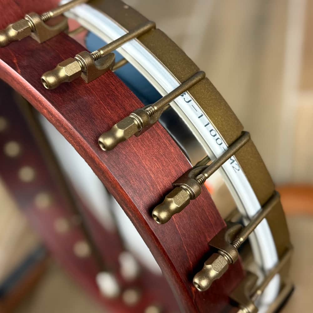 Custom Deering Eagle II 19-Fret Short-Scale Tenor Openback Banjo Deering 4 String Banjos