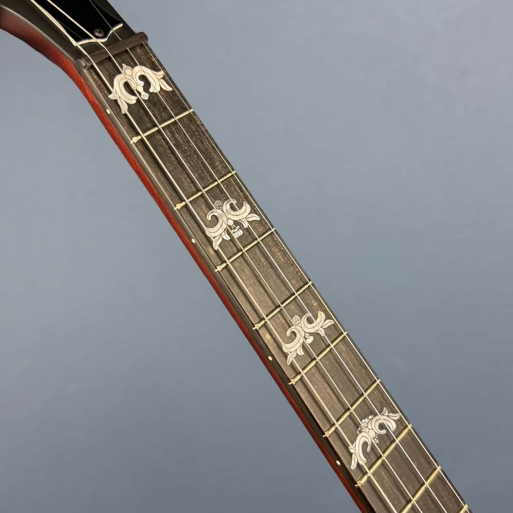 Custom Deering Eagle II 19-Fret Short-Scale Tenor Openback Banjo Deering 4 String Banjos