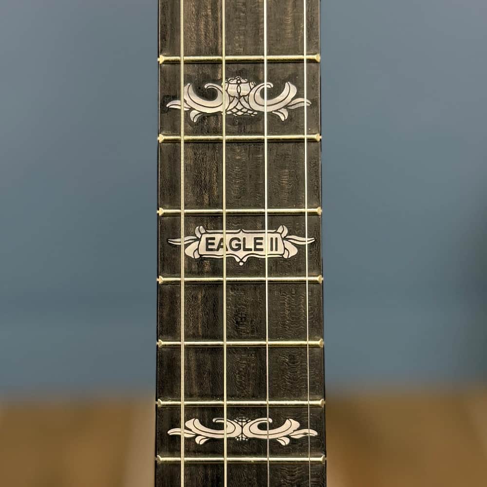 Custom Deering Eagle II 19-Fret Short-Scale Tenor Openback Banjo Deering 4 String Banjos