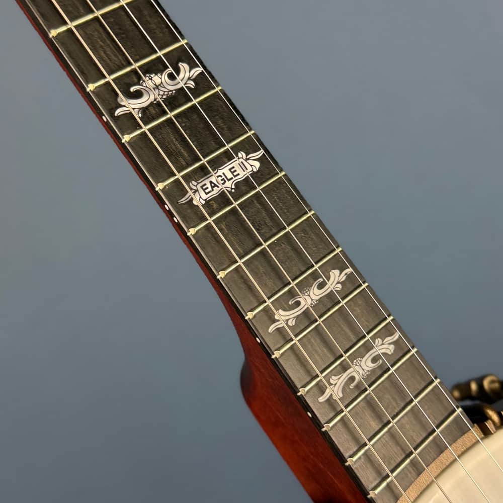 Custom Deering Eagle II 19-Fret Short-Scale Tenor Openback Banjo Deering 4 String Banjos