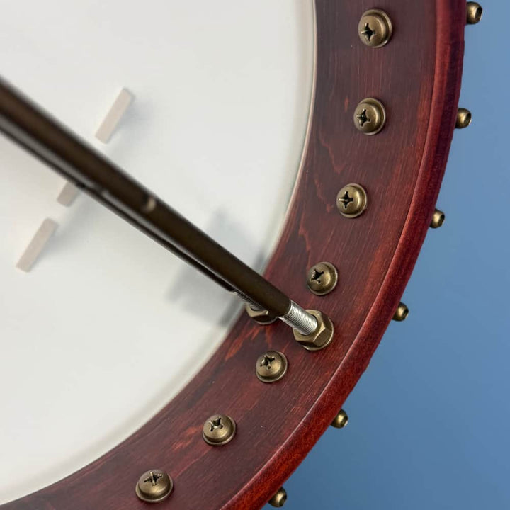 Custom Deering Eagle II 19-Fret Short-Scale Tenor Openback Banjo Deering 4 String Banjos