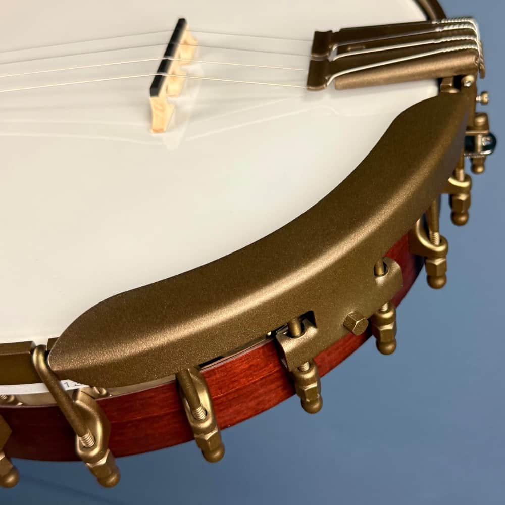 Custom Deering Eagle II 19-Fret Short-Scale Tenor Openback Banjo Deering 4 String Banjos