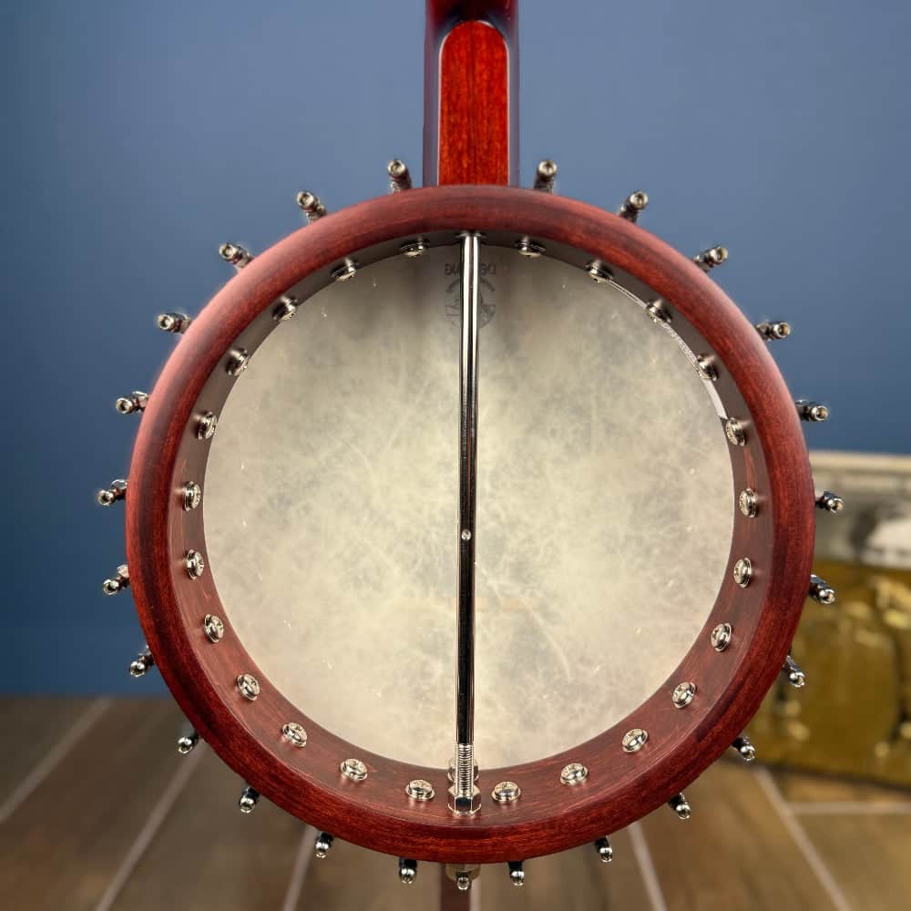 Custom Deering Eagle II 19-Fret Tenor Openback Banjo Deering 4 String Banjos