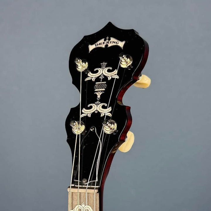 Custom Deering Eagle II 19-Fret Tenor Openback Banjo Deering 4 String Banjos